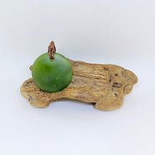 Load image into Gallery viewer, Medium Martyr River Porohita Pendant