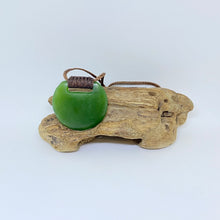 Load image into Gallery viewer, Kahurangi Ridge bound Porohita/Disc Pendant